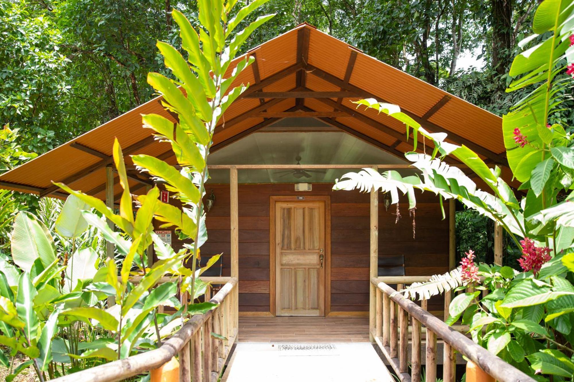 Pachira Lodge تورتوجويرو المظهر الخارجي الصورة