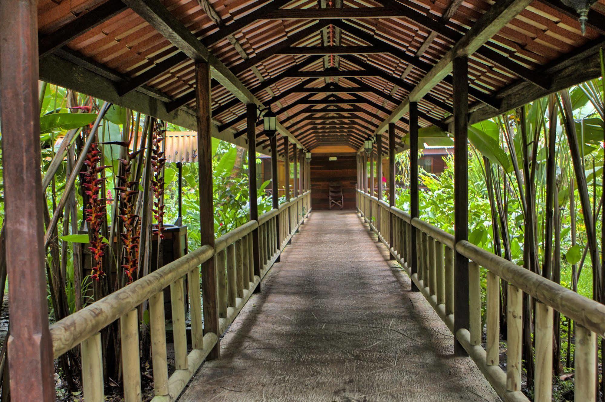 Pachira Lodge تورتوجويرو المظهر الخارجي الصورة